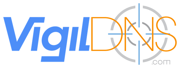 VigilDNS